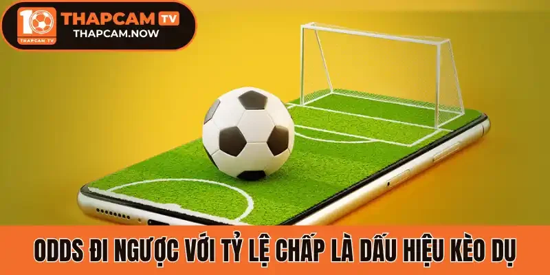 Odds đi ngược với tỷ lệ chấp là dấu hiệu kèo dụ
