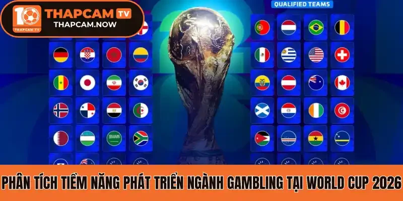 Theo dõi xu hướng cá cược của người chơi năm 2026