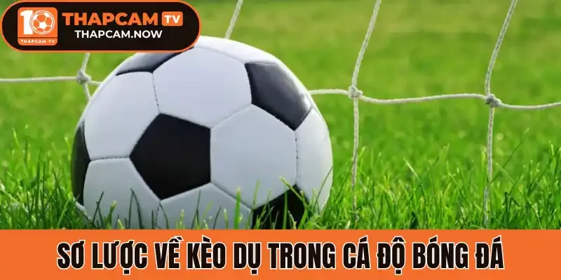 Sơ lược về kèo dụ trong cá độ bóng đá
