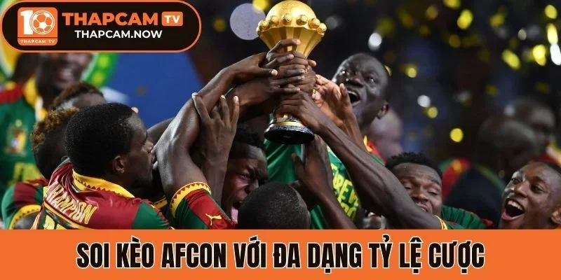 Soi kèo AFCON với đa dạng tỷ lệ cược
