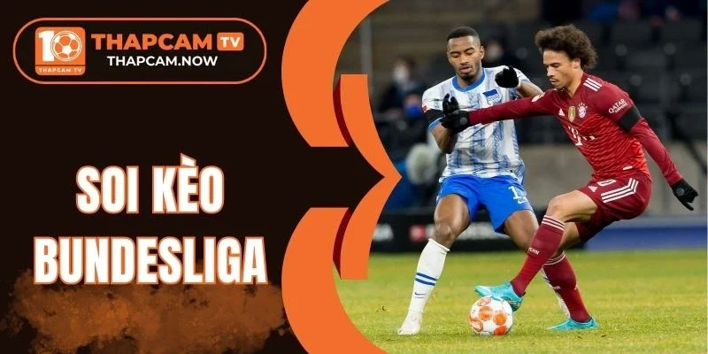 Chiến thuật phân tích tạo dự đoán thông minh