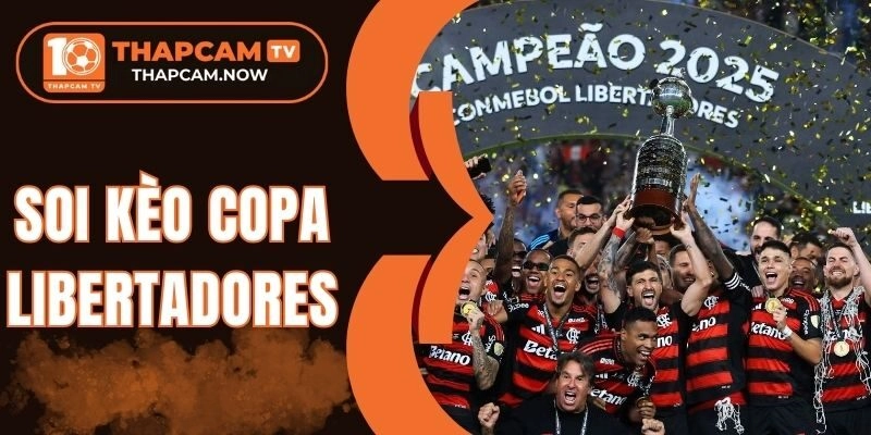 Dựa vào tính chất từng trận đấu dự đoán kèo