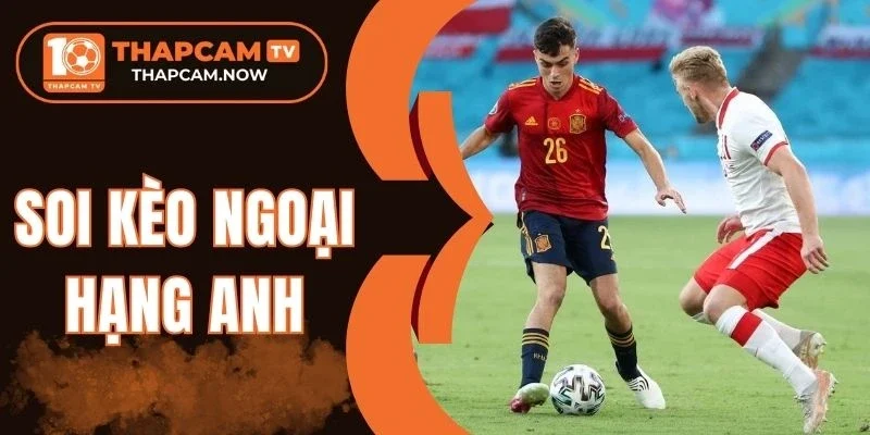 Đặt cược dựa vào dữ liệu, phân tích tăng xác suất trúng kèo