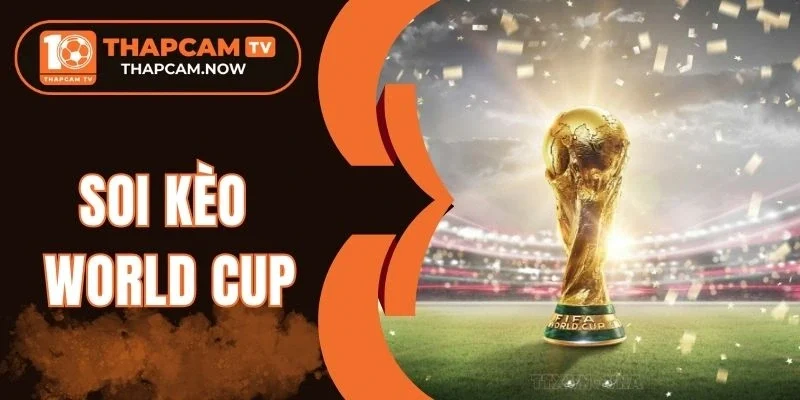 Bí quyết cá cược chuẩn từ chuyên gia