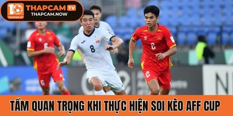 Tầm quan trọng khi thực hiện soi kèo Aff Cup 