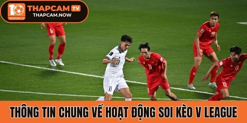 Thông tin chung về hoạt động soi kèo V League