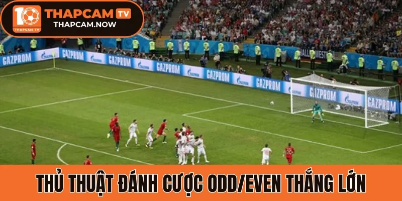 Thủ thuật đánh cược Odd/Even thắng lớn