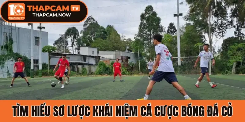 Tìm hiểu sơ lược khái niệm cá cược bóng đá cỏ 