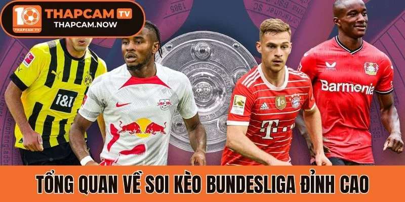 Tổng quan về soi kèo Bundesliga đỉnh cao