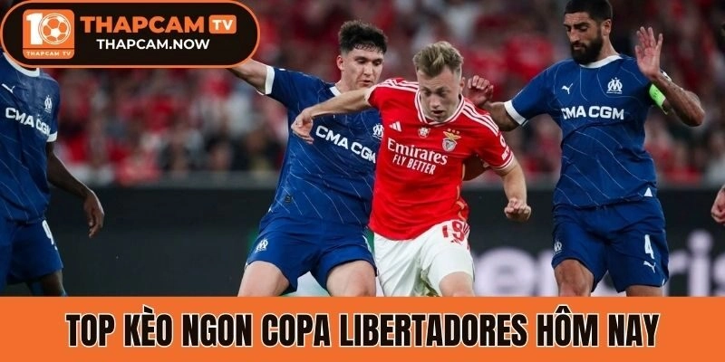 Top kèo ngon Copa Libertadores hôm nay