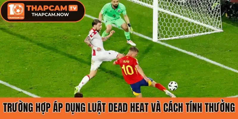 Trường hợp áp dụng luật Dead Heat và cách tính thưởng