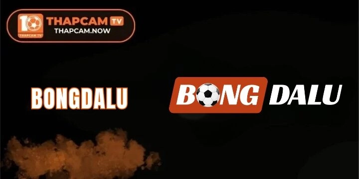 Bongdalu - Review toàn diện trang web trực tiếp bóng đá