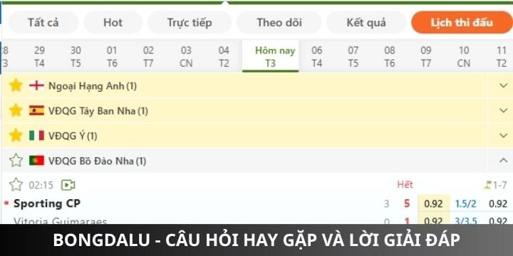 Câu hỏi và lời giải đáp liên quan đến bongdalu