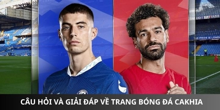 Cakhia hỗ trợ soi kèo dễ dàng giành chiến thắng hiện nay