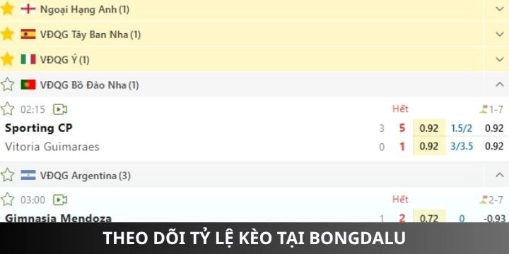 Bạn có thể theo dõi tỷ lệ cược từ nhiều nhà cái tại Bongdalu