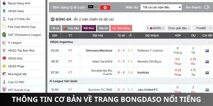 Thông tin cơ bản về trang cá cược Bongdaso