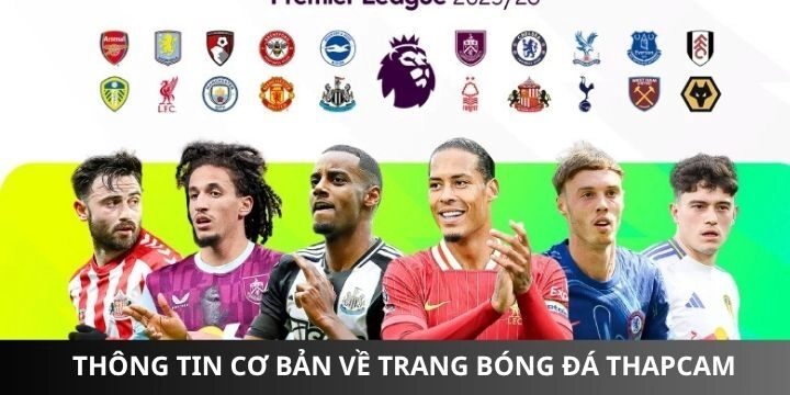 Những thông tin mới liên quan đến thapcamtv online